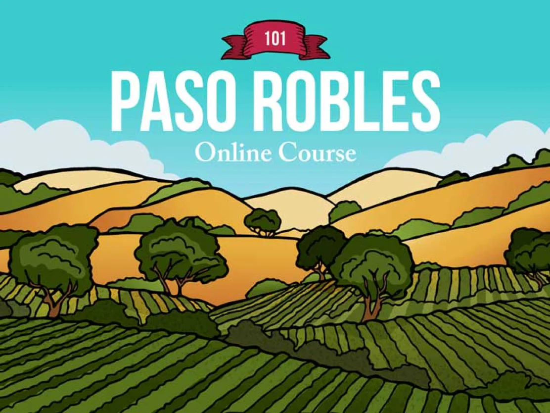 Back to Wine School Sale